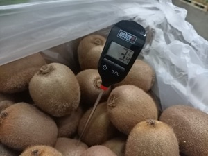El Salvador Fresh Produce Inspection